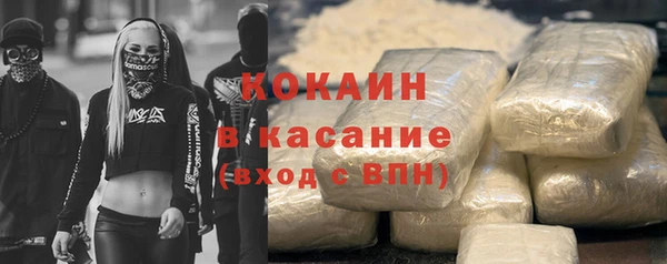 шишки Гусев