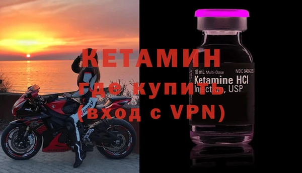 шишки Гусев