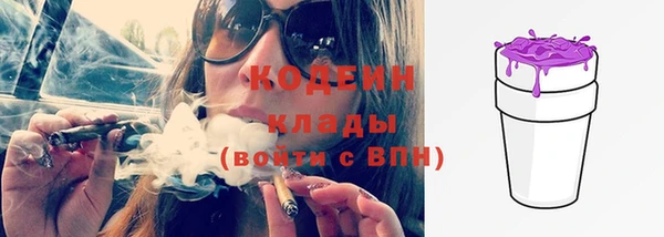 шишки Гусев