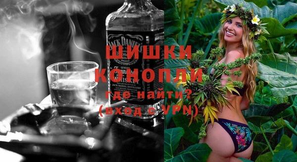 прущие грибы Богданович