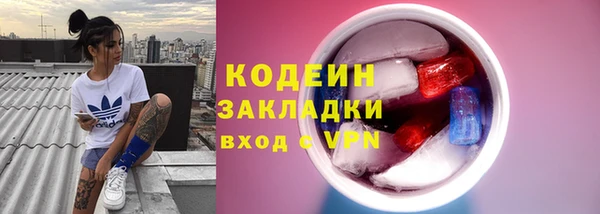 прущие грибы Богданович