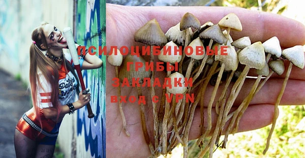 прущие грибы Богданович