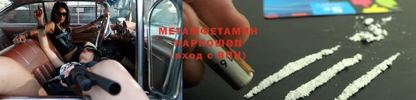 прущие грибы Богданович