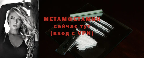 прущие грибы Богданович