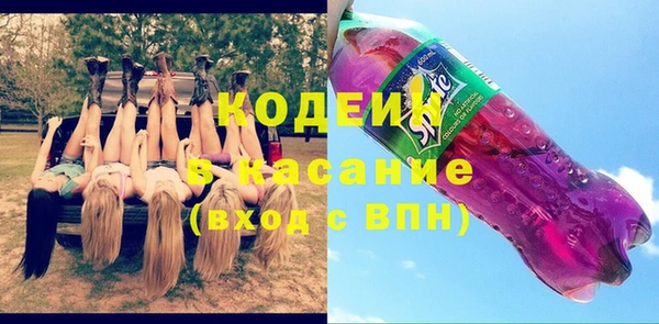прущие грибы Богданович