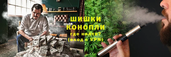 шишки Гусев