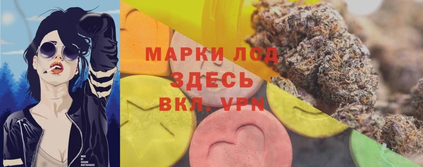 прущие грибы Богданович
