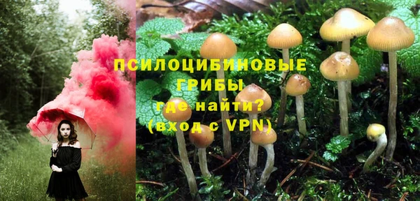 прущие грибы Богданович